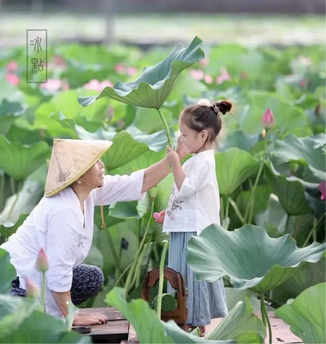 感恩母爱的诗句名言（赞美母爱的名言和诗句）